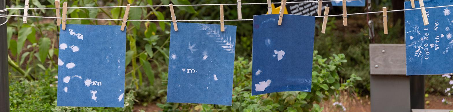 image of blue artworks hanging on a line in a garden