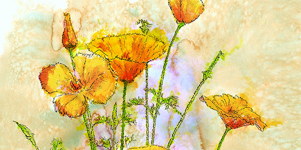 Wild L.A. Flowers by Michael Waugh