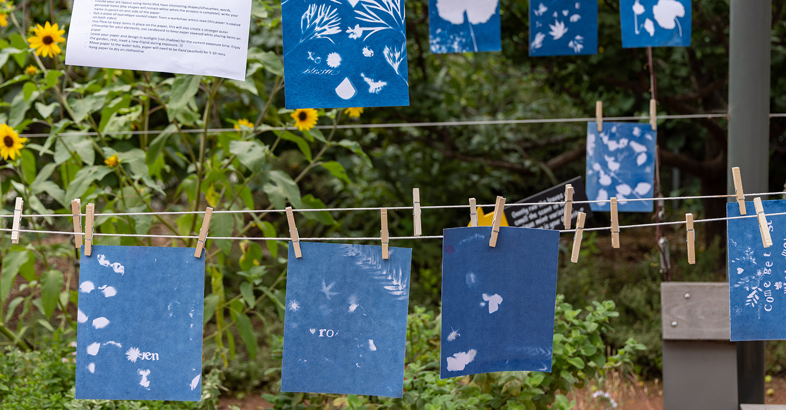 Blue artworks on clothes lines