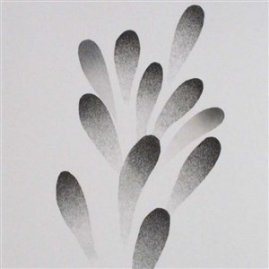 Image description is not available.