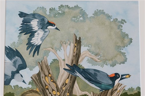 Image description is not available