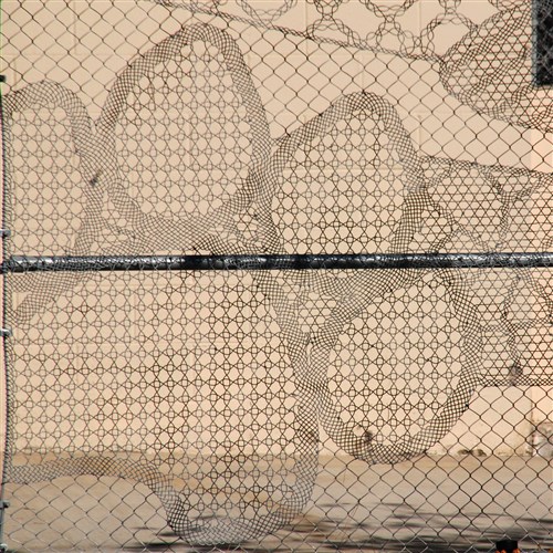 Image description is not available