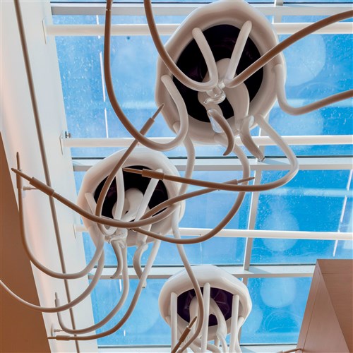 Image description is not available