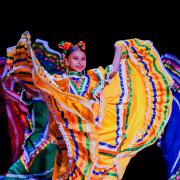 Link to Conflict of Interest Form webpage