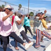 Link to Guidelines PDF