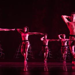 OGP Workshop Fiscally sponsored Orgs