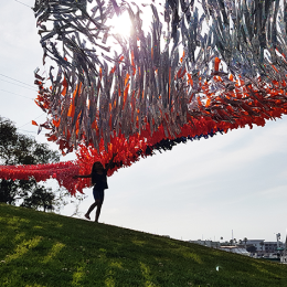 Professional Development Newsletter: April, 2022